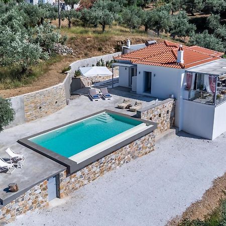 Ninemia Villa In Skopelos Екстер'єр фото