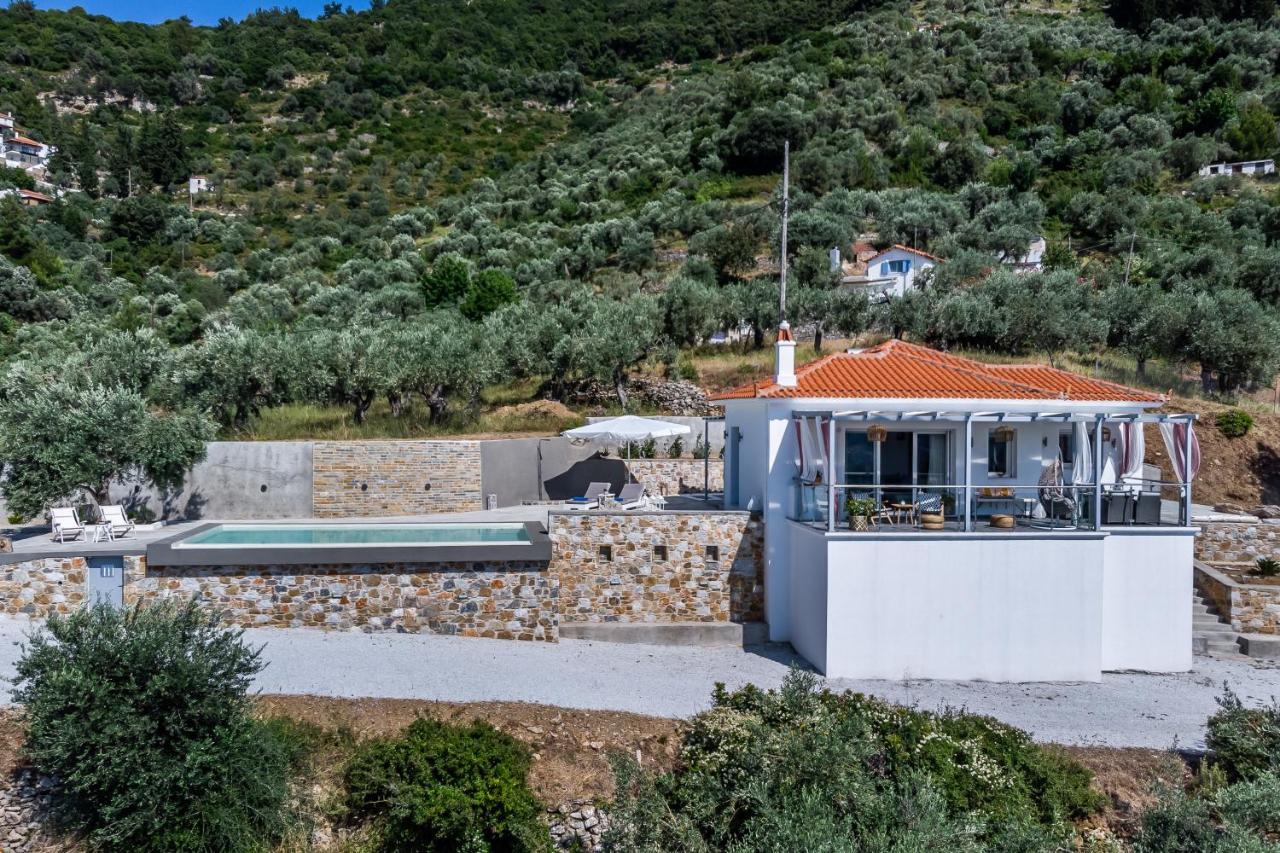 Ninemia Villa In Skopelos Екстер'єр фото